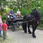 vergrößerte Bildansicht wird geöffnet