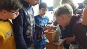 Schüler mahlen mit der Getreidemühle aus Körnern Mehl