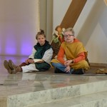 vergrößerte Bildansicht wird geöffnet