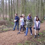 Im Wald auf der Suche nach Schnecken (vergrößerte Bildansicht wird geöffnet)