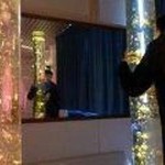vergrößerte Bildansicht wird geöffnet