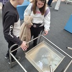 Spaß am Entdecken (vergrößerte Bildansicht wird geöffnet)