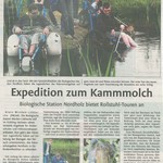 vergrößerte Bildansicht wird geöffnet