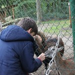 Fütterung im Wildgehege. (vergrößerte Bildansicht wird geöffnet)