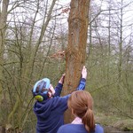 Wilken findet eine Schnecke an einem Baum (vergrößerte Bildansicht wird geöffnet)