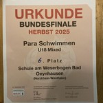 URKUNE 6. Platz SaW B.O (vergrößerte Bildansicht wird geöffnet)