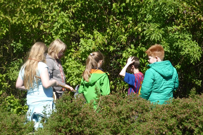 Die Schüler suchen eifrig in Büschen und Bäumen